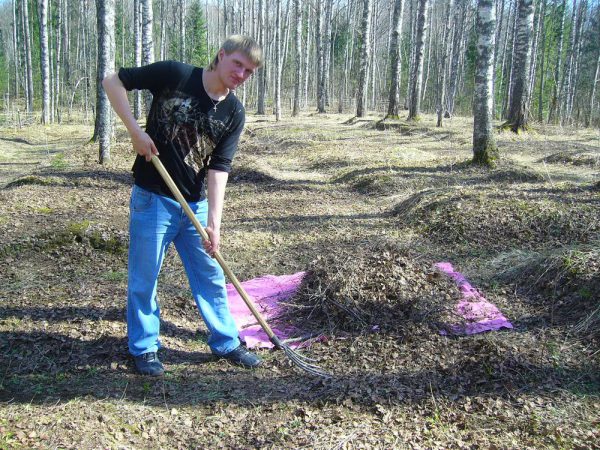 Уборка воинского захоронения в д Эстино 2